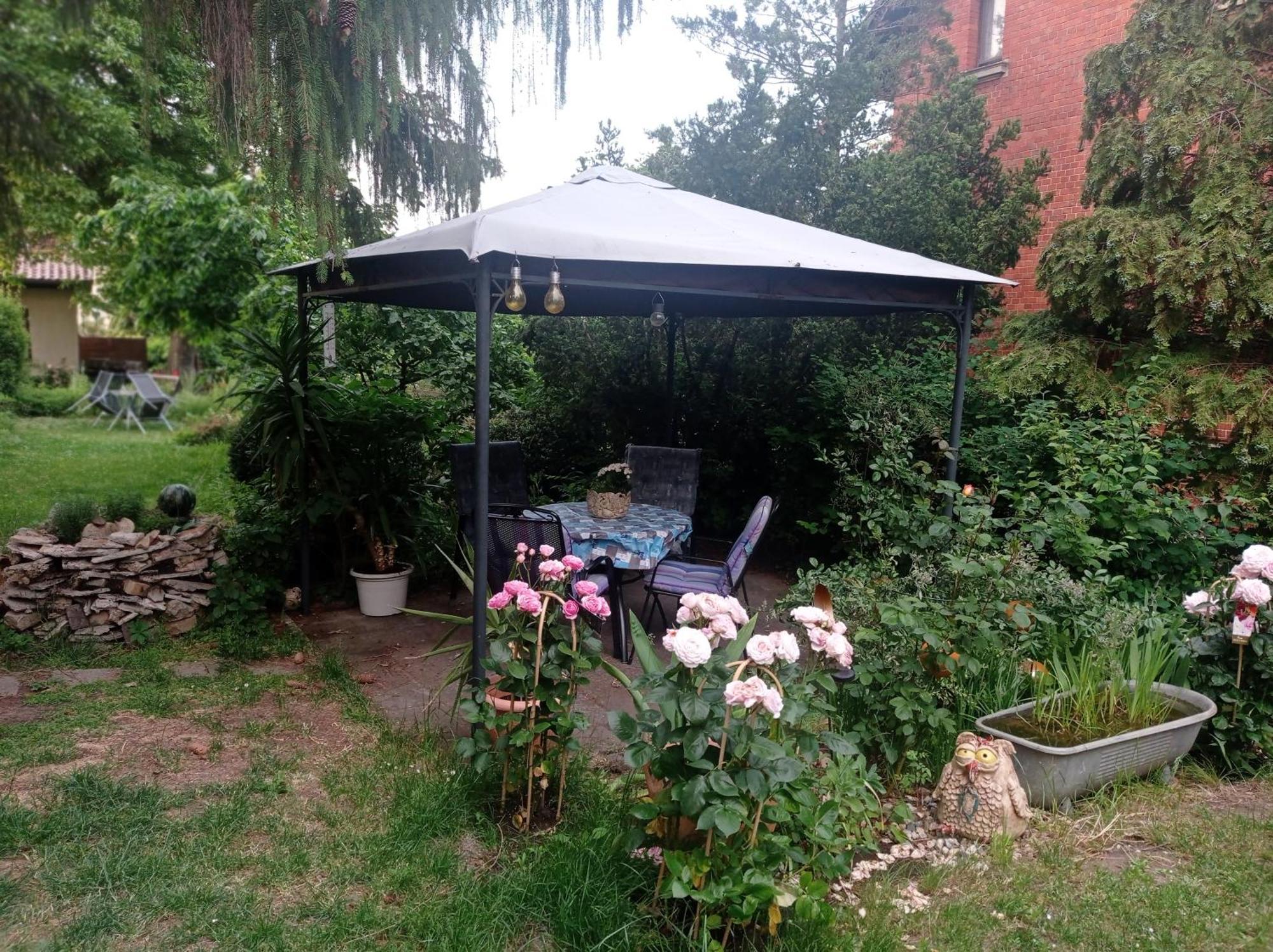 Ferienwohnung Markert 블랑켄부르크 객실 사진